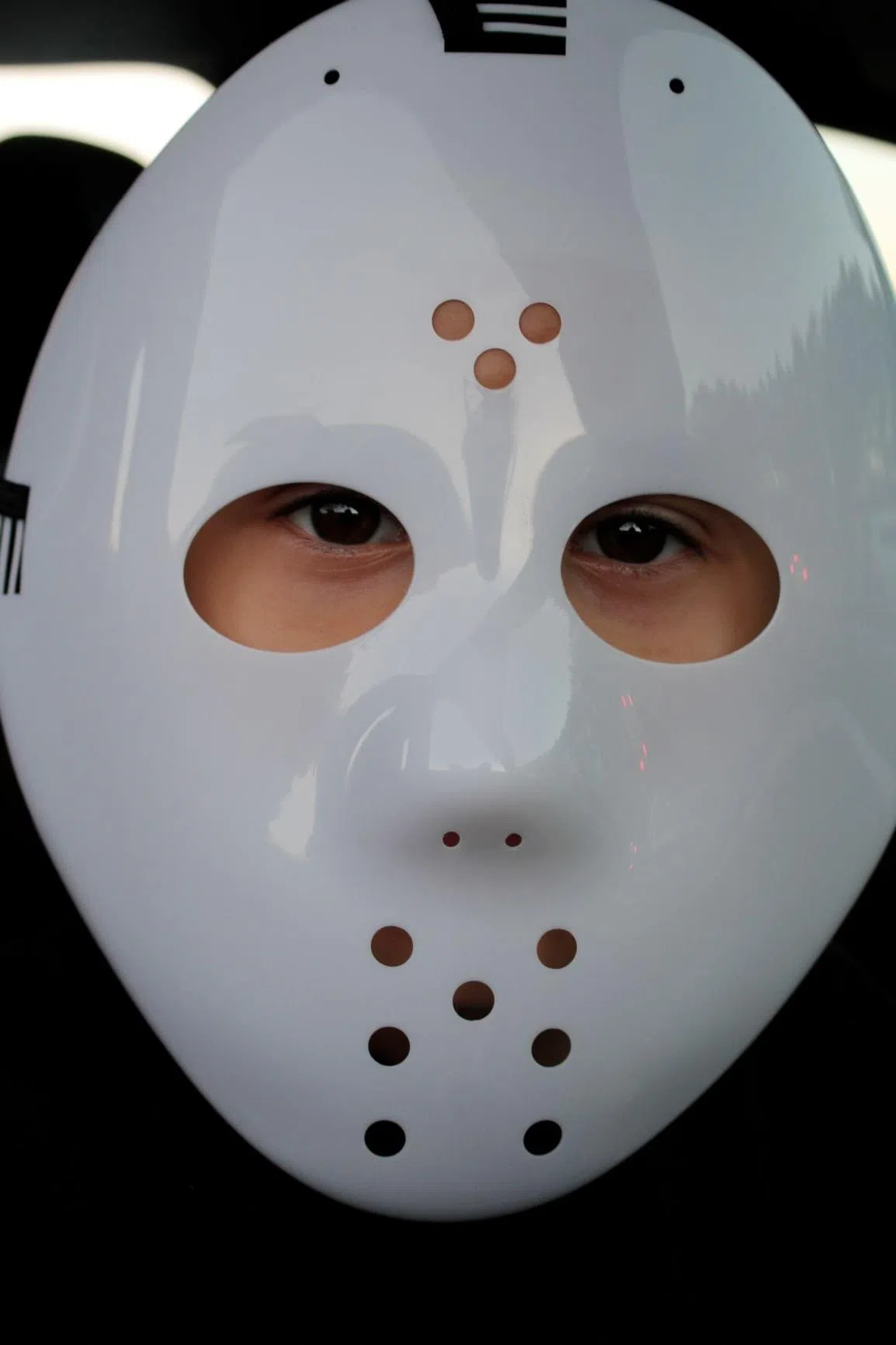 _MG_0093-0093 trunk of treat