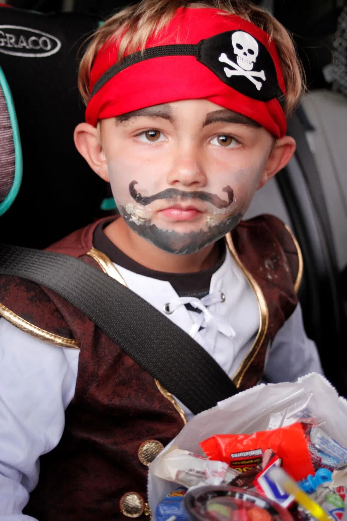 _MG_0112-0112 trunk of treat