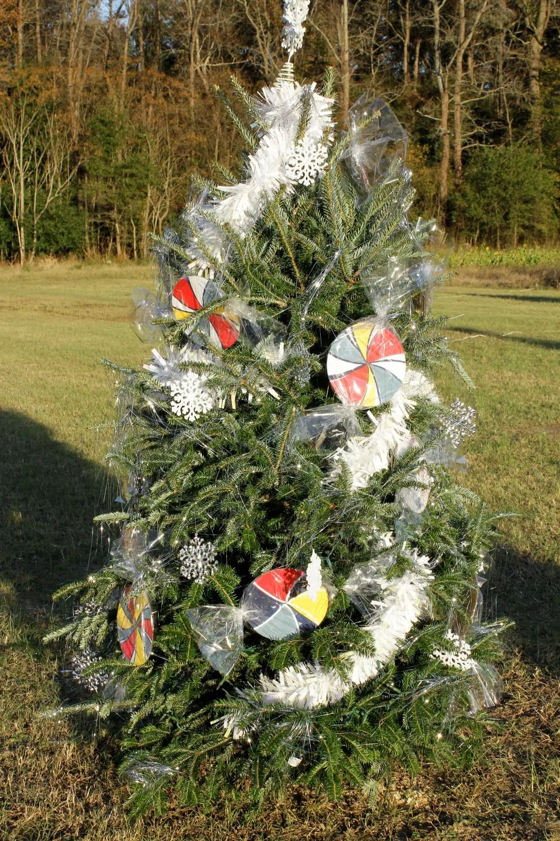 _MG_0347-0347 odom farm