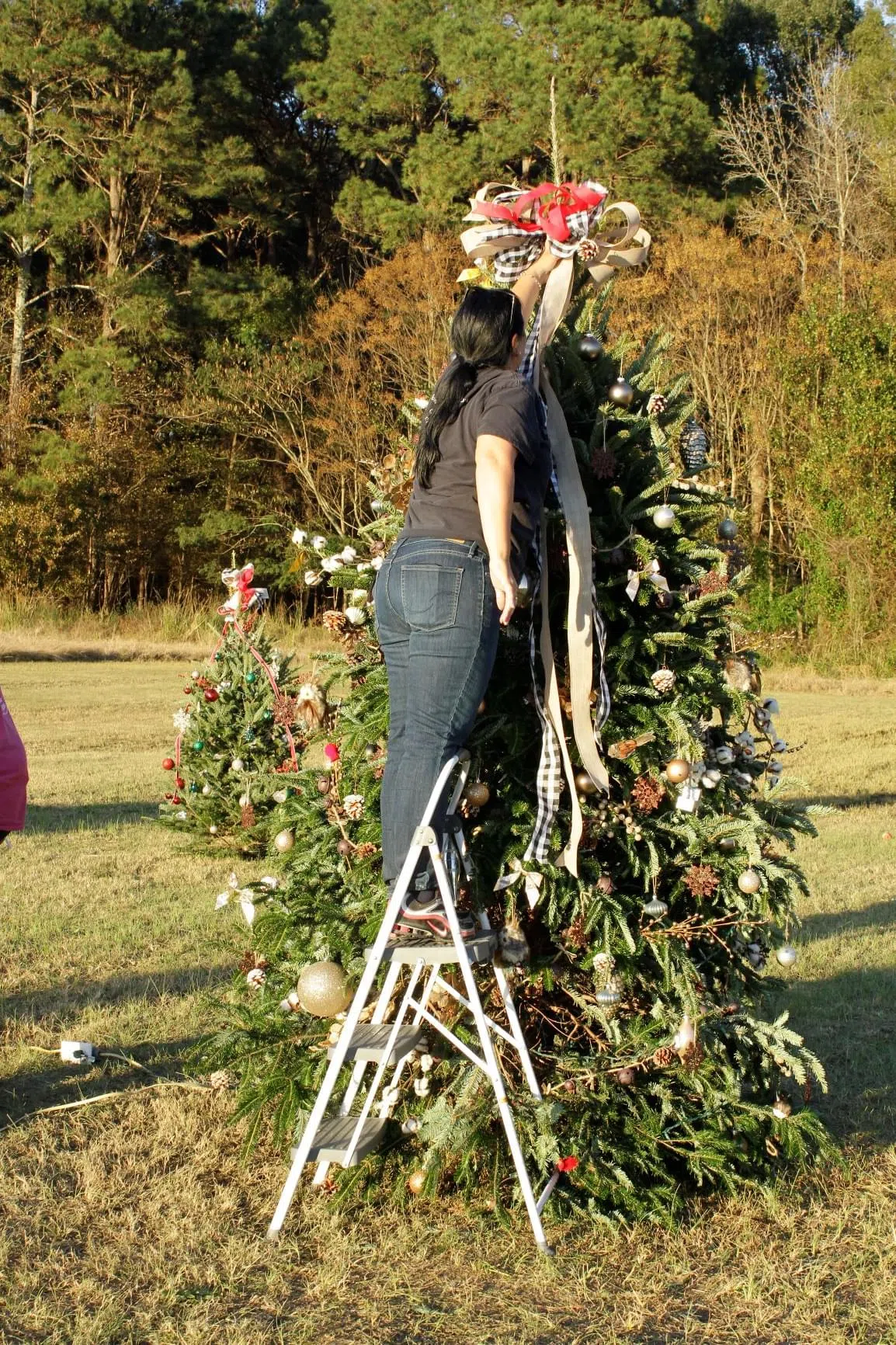 _MG_0368-0368 odom farm