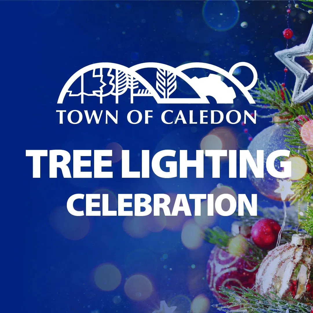 Caledon Town Hall tree lighting!