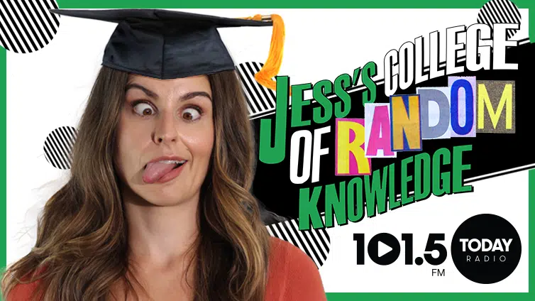 Jess’s College of Random Knowledge