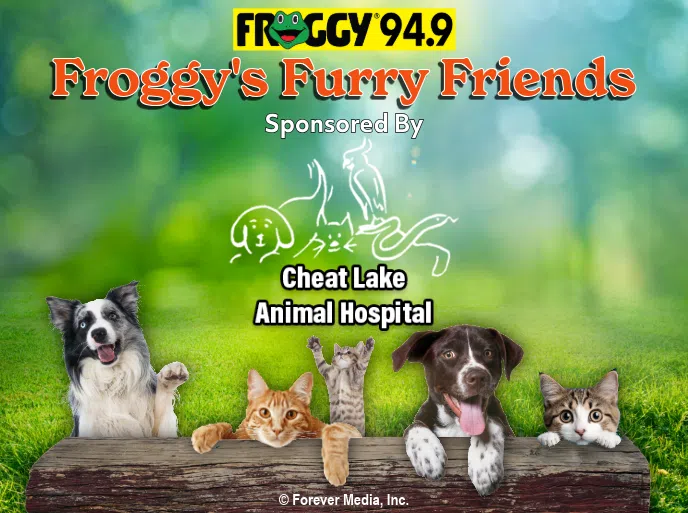 Feature: https://www.foreverpittsburgh.com/froggys-furry-friends/