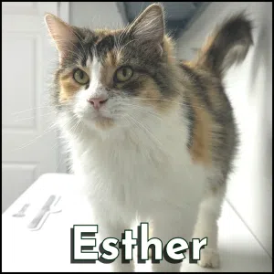 Esther