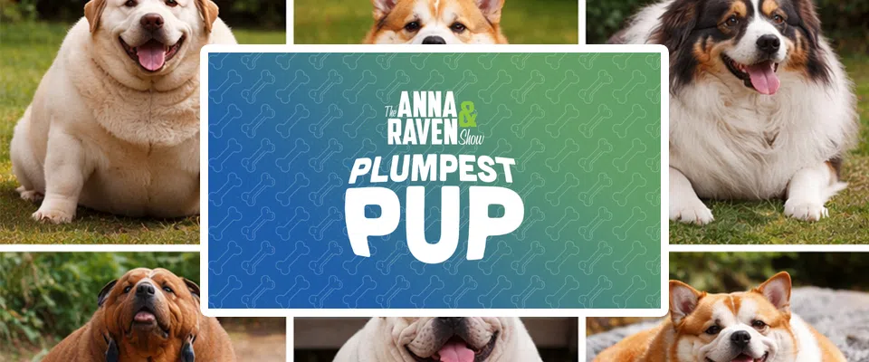 Feature: https://www.annaandraven.com/new-page-36