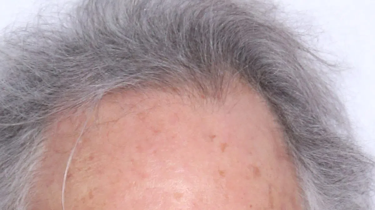 Bob Weir Remembered at Citywide Memorial in San Francisco