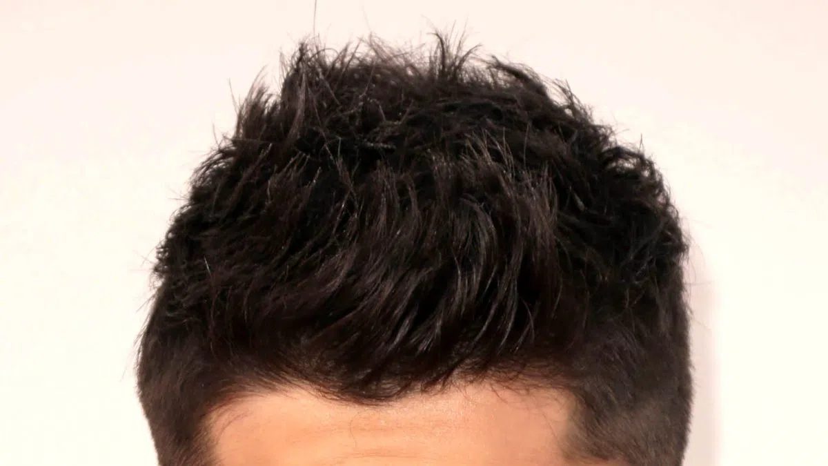 ZAYN’s ‘Die for Me’ Voted Fan Favorite in Weekly New-Music Poll