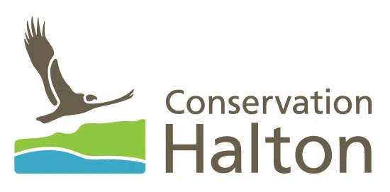 Conservation Halton Restores Sixteen Mile Creek at Drumquin Park in ...