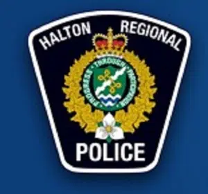 Suspects in Pizza Nova Robbery Arrested