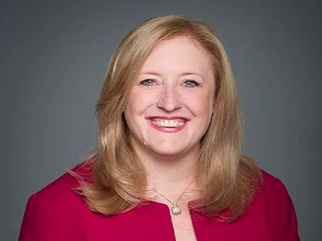 Federal Election Candidate Profile: Lisa Raitt 