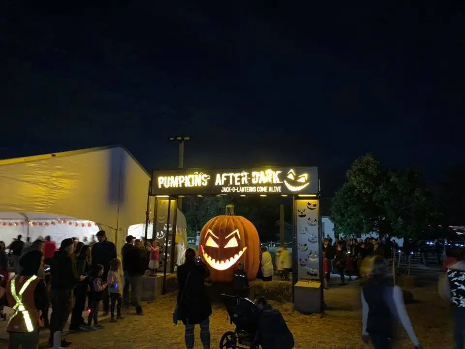 Pumpkins After Dark is back in Milton
