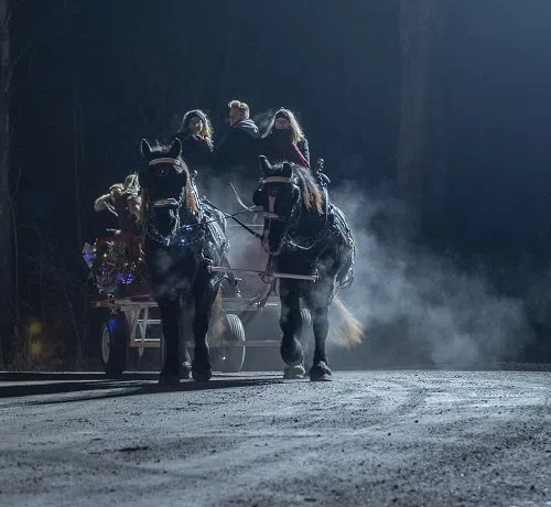 Woodbine Mohawk Park in Milton holding holiday market in December