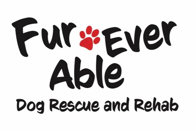 Fur-Ever Able Event to help disabled dogs held this weekend in Milton 