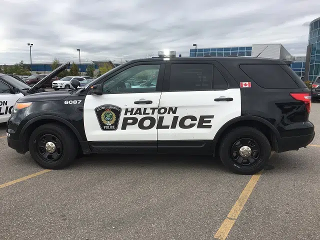 Halton Police seized 69 firearms following an arrest in Halton