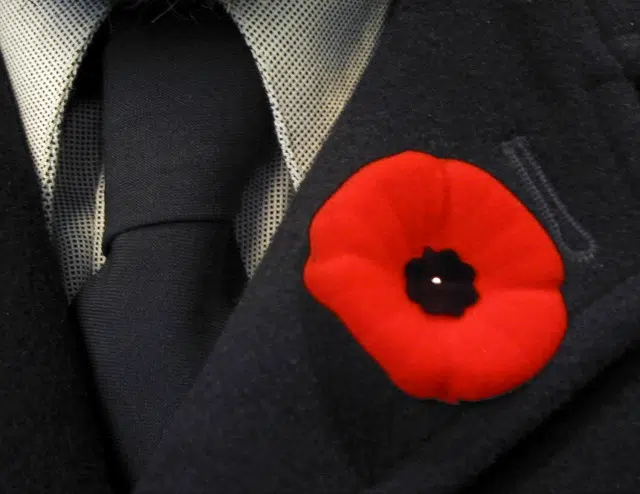 Teens invited to crochet poppies ahead of Remembrance Day