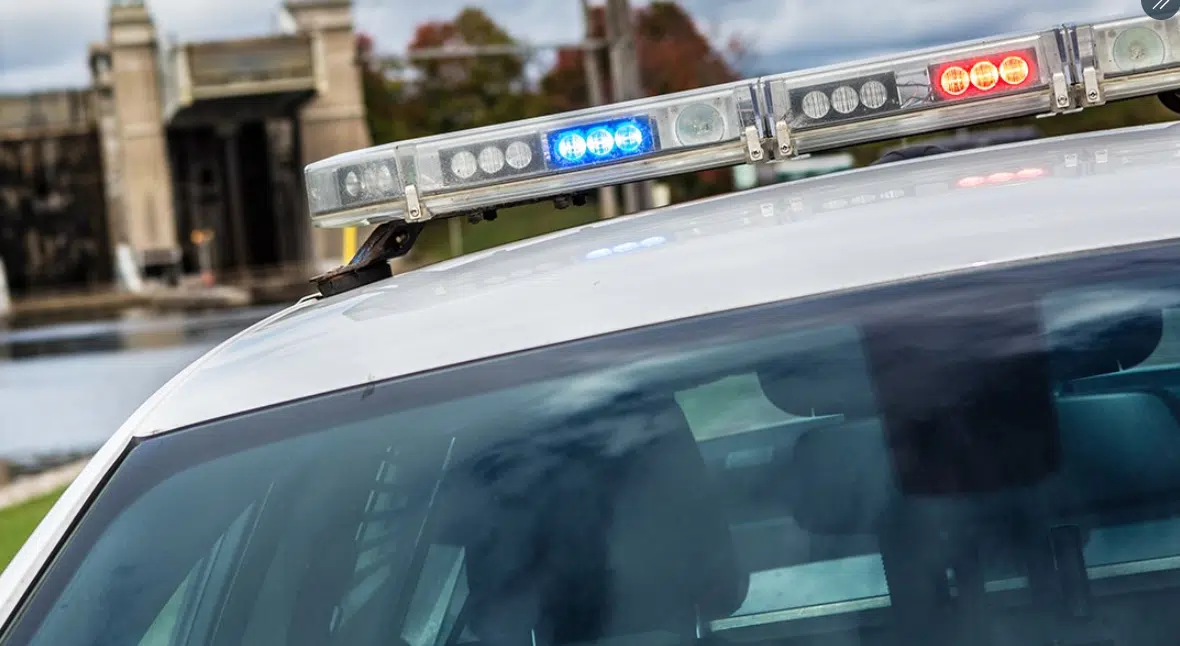 Halton Police arrest Georgetown man in vehicle from theft case