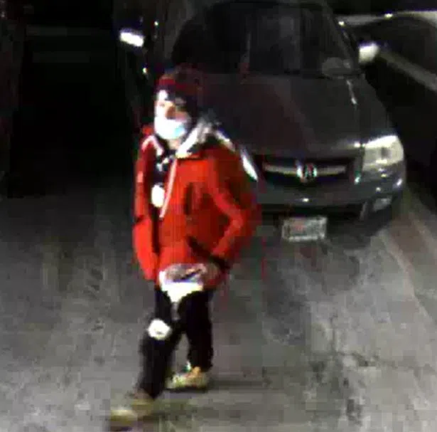 Halton Police looking for suspect in truck theft