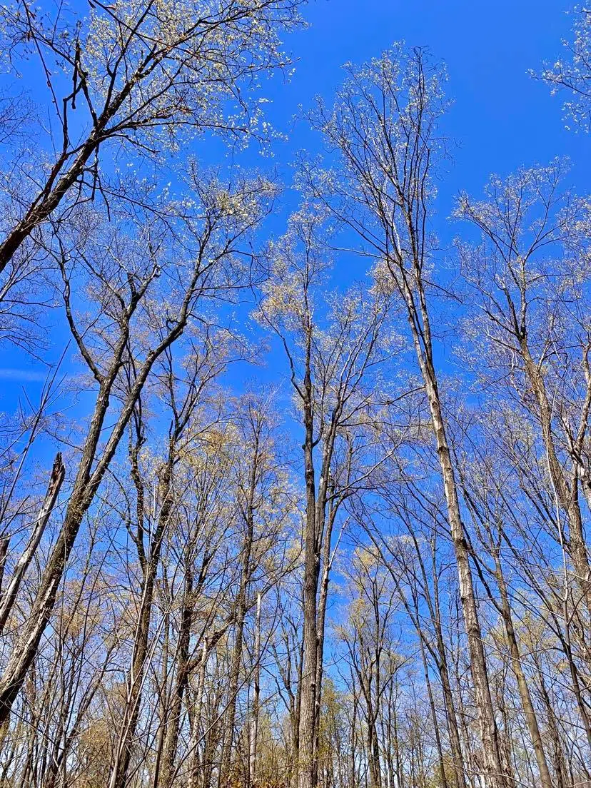 Ontario adding pre-booking requirement to Bronte Creek Provincial Park