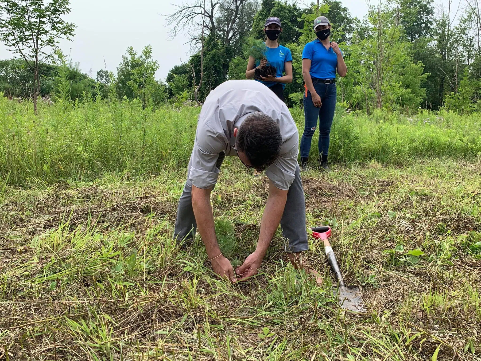 Community Spotlight: 50,000 trees to be planted across Halton