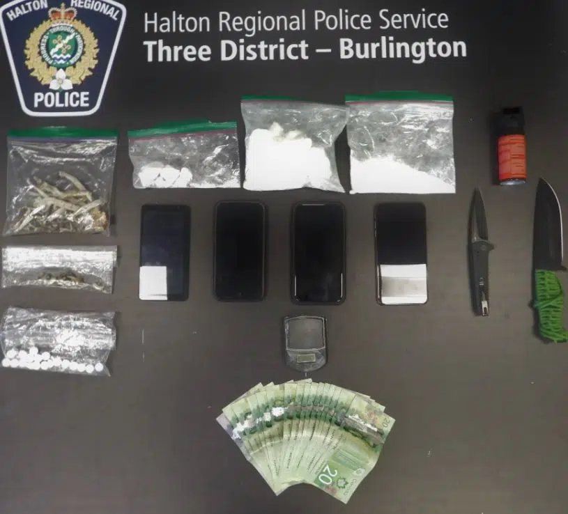 Drugs, knives, and more seized in Halton drug bust