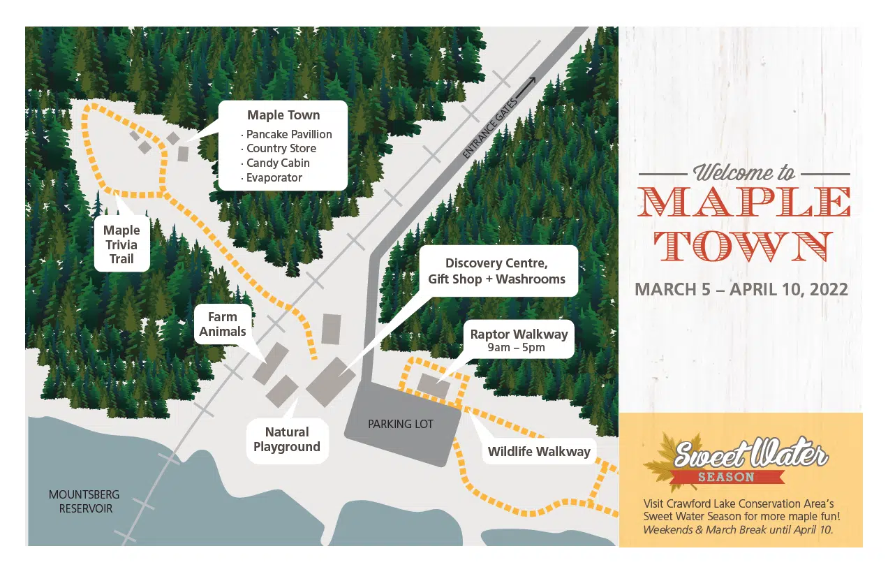 Mountsberg's Maple Town is now open