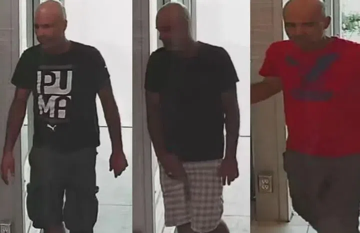 Stolen plates from Halton used in Niagara theft case