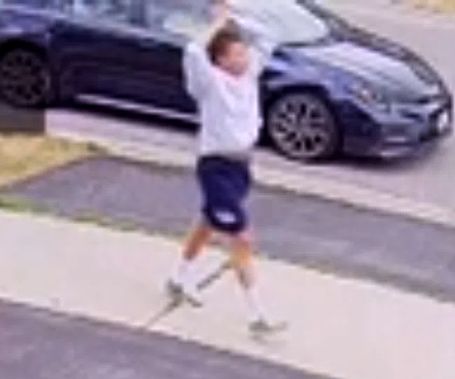 Halton Police looking for hit and run suspect