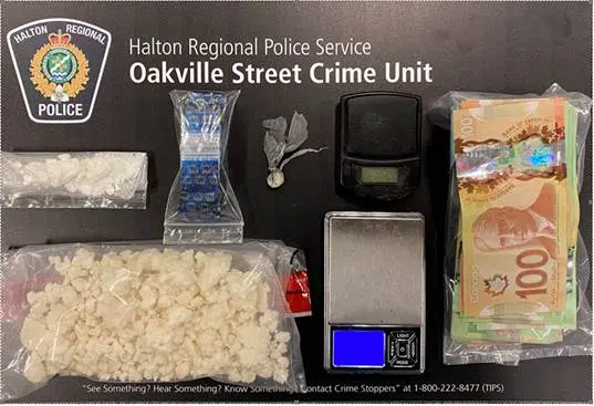 Drug bust leads to arrest by Halton Police