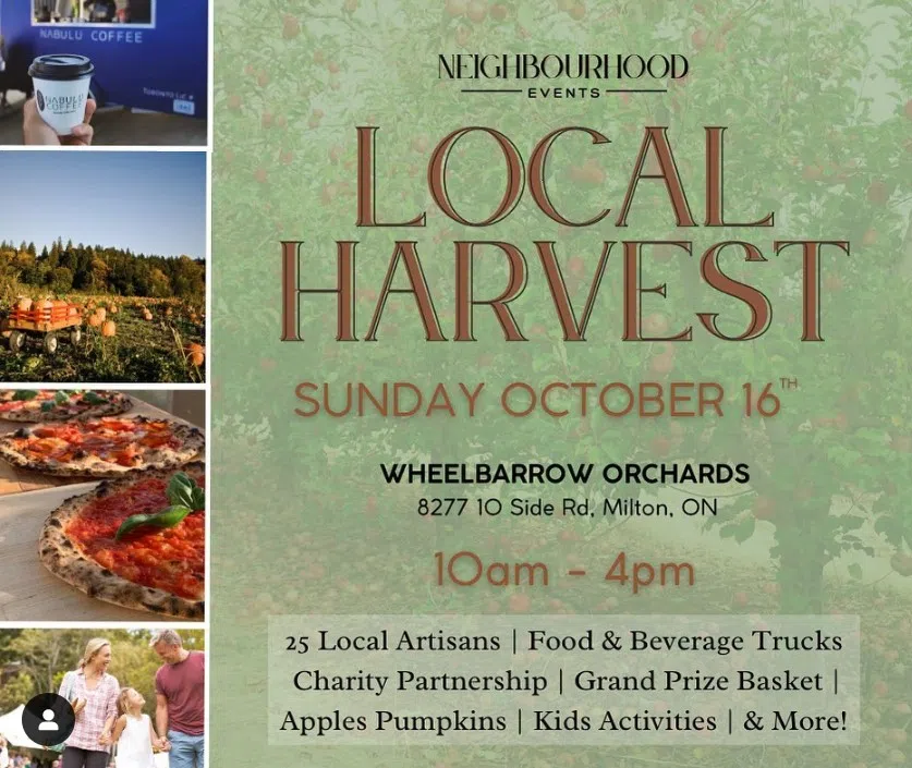 Celebrate Fall with the Local Harvest event
