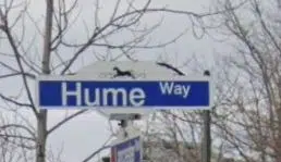 The history behind Milton's Hume Way and Livock Trail