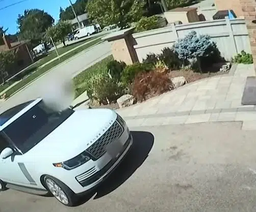 Arrests made following robberies and carjackings across GTA, including Halton