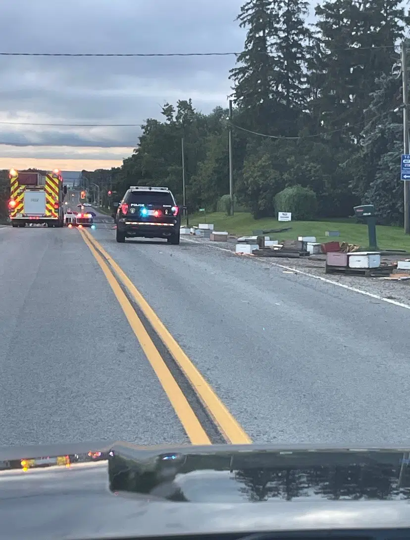Buzz-y morning: Millions of bees takeover Halton street after shipment falls off truck