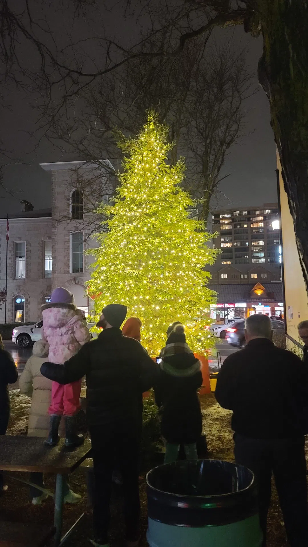 There's now a 16-foot tall Christmas tree lit up in Downtown Milton