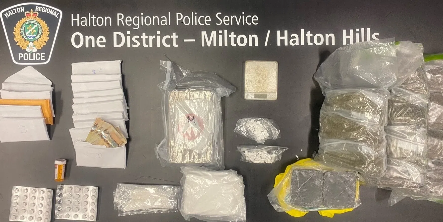 Halton Police arrest Mississauga man in drug bust