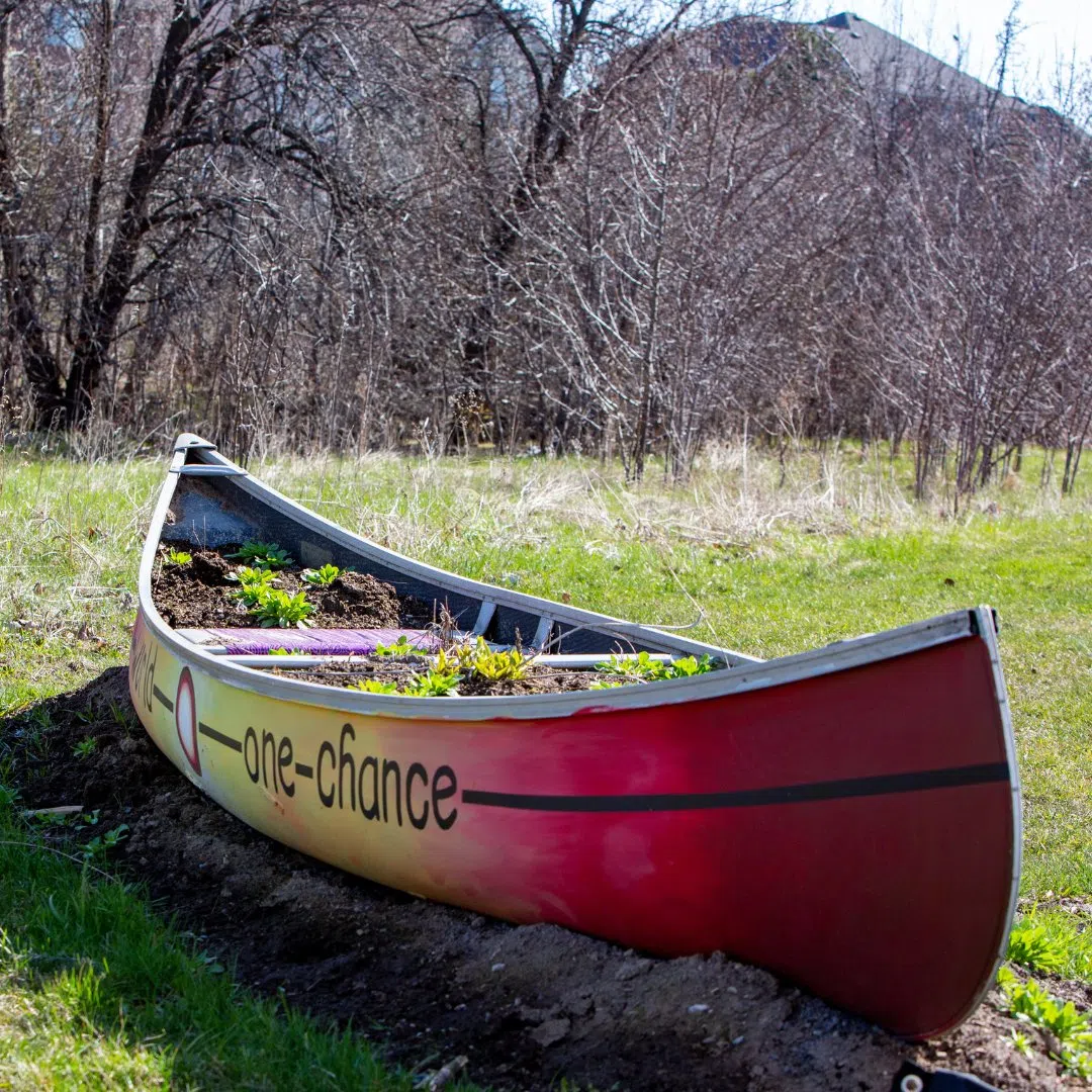 Ceremony announced for closing for Milton Public Library's Medicine Learning Garden