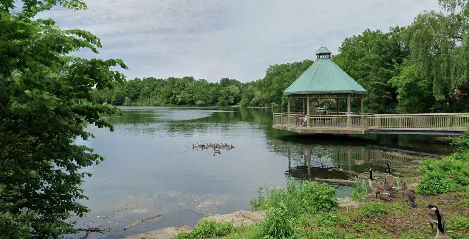 Mill Pond will be receiving improvements in July