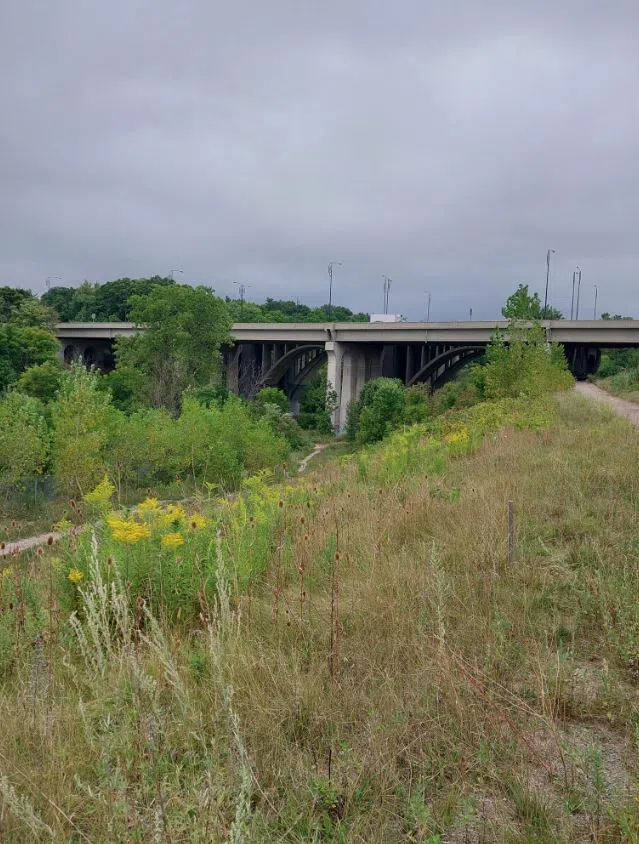 Halton Police help rescue boy who fell into ravine