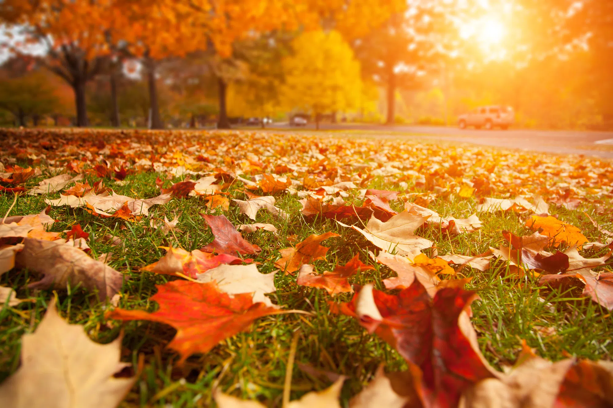 Here's how Milton residents can be prepared for fall weather