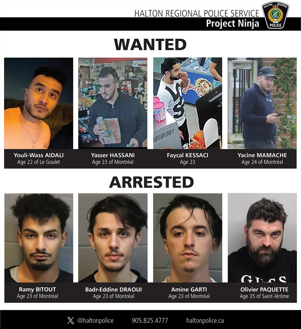 Additional arrests made in Project Ninja, as Halton officers take down vehicle theft ring