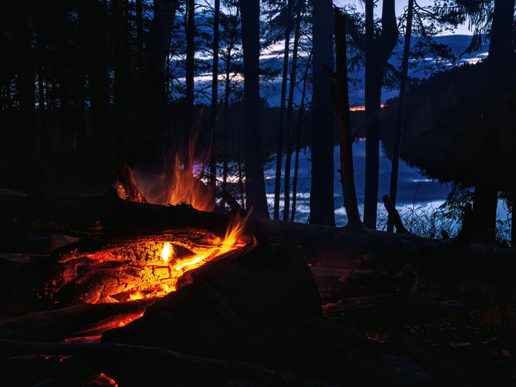 Milton Public Library sharing spooky stories around Kelso campfire