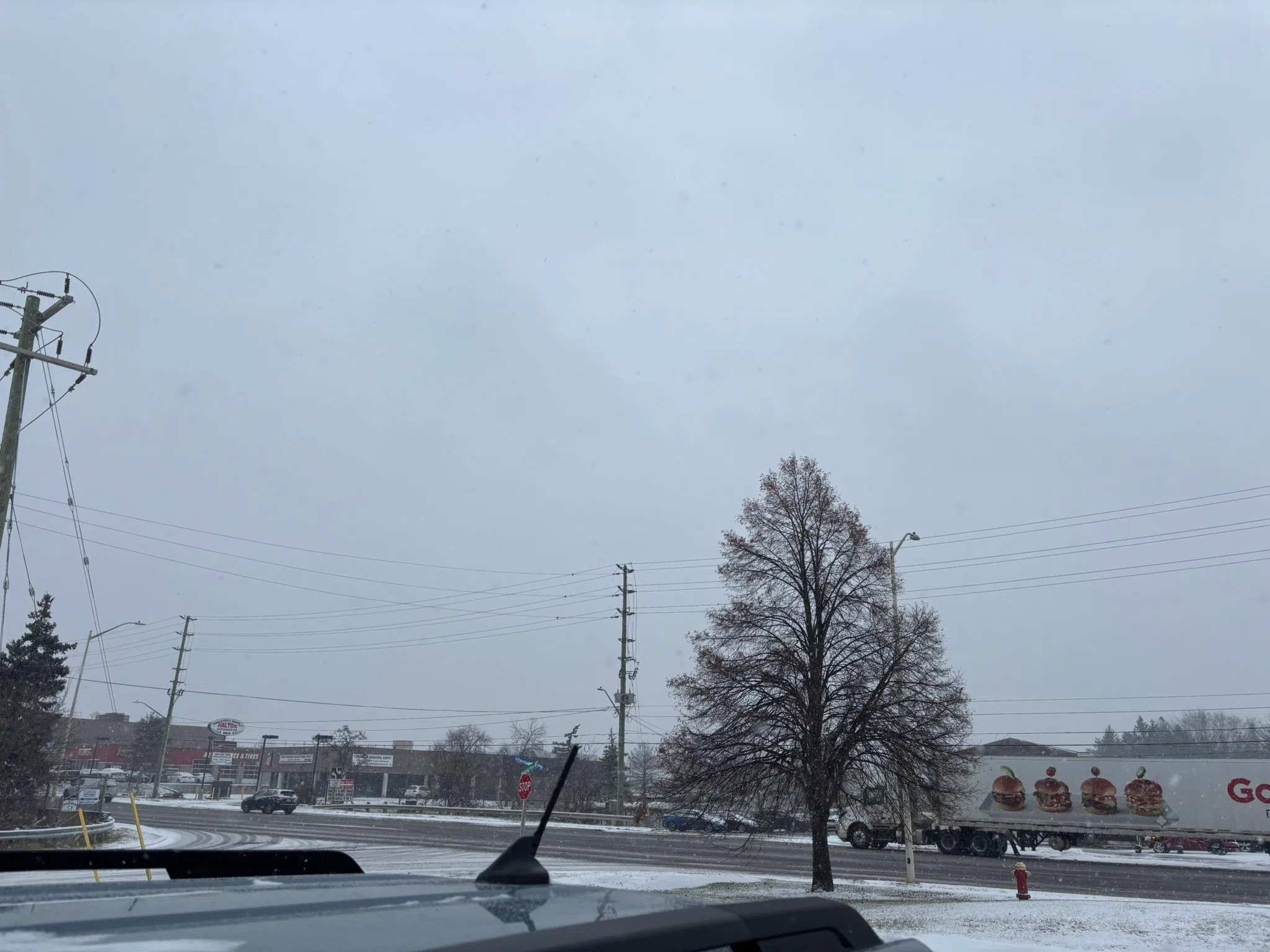 Milton forecast for Wednesday, December 4th