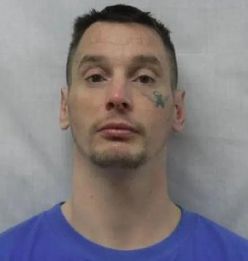 Police believe a wanted criminal might be in Halton