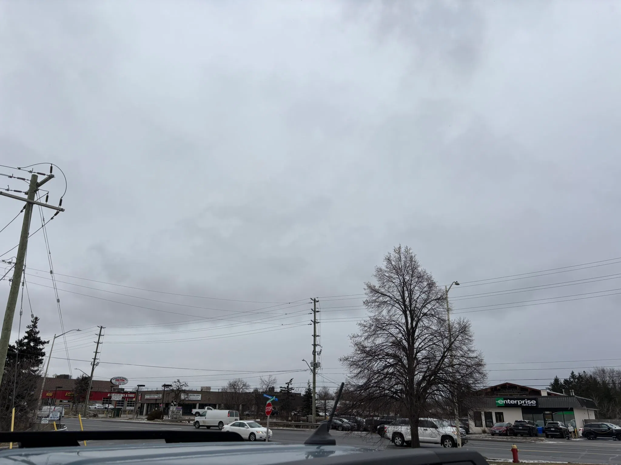 Milton forecast for Monday, January 6th