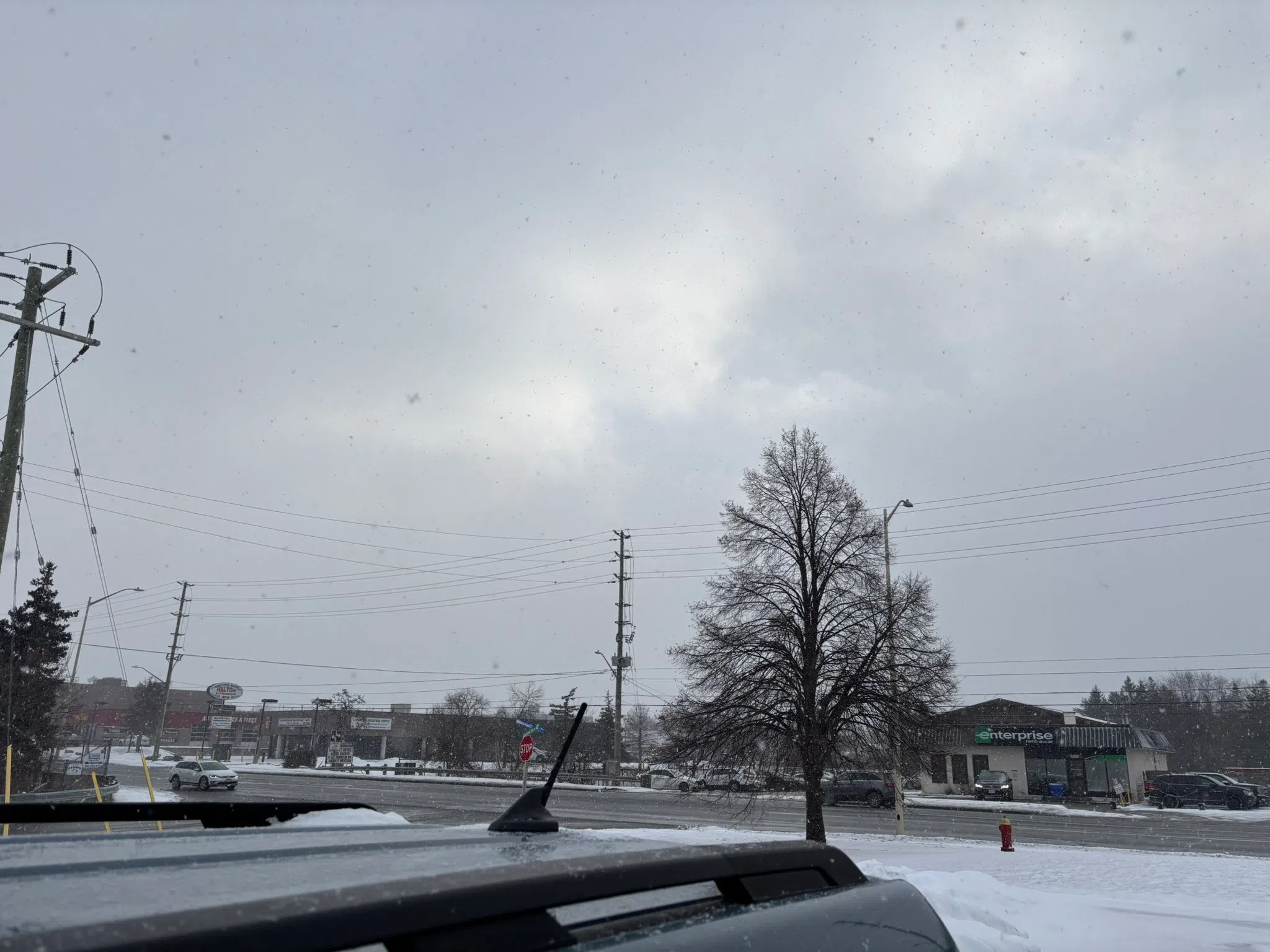 Milton forecast for Tuesday, January 14th