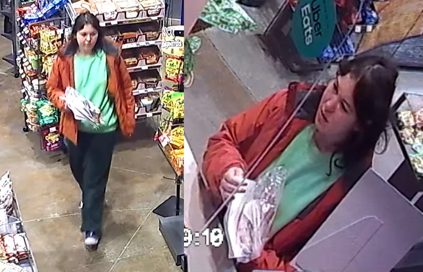 Halton Police continue to search for missing Niagara woman