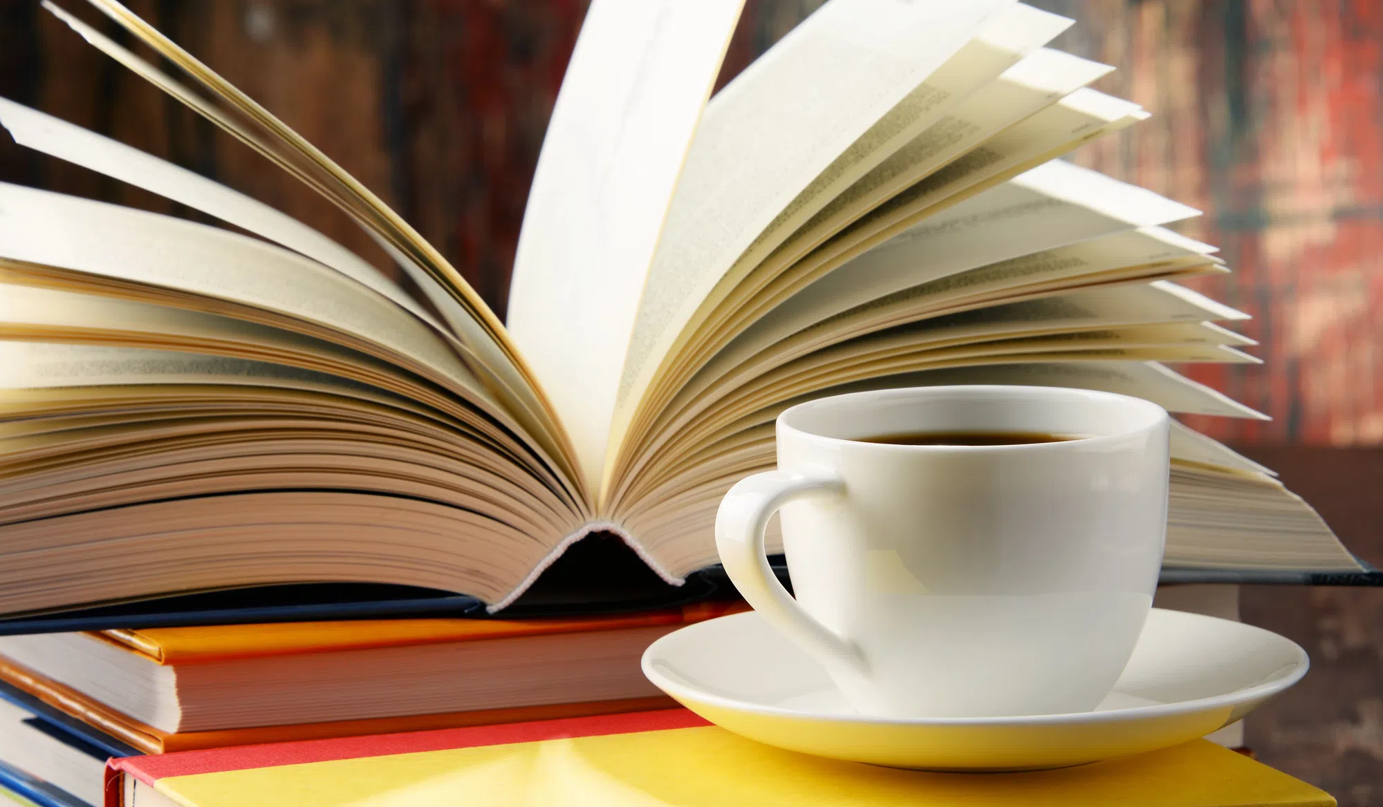 Halton Hills Public Library announces multi-day festival set for this fall