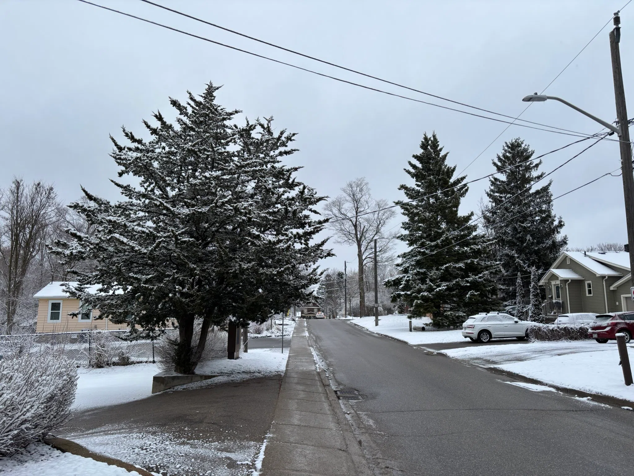Milton forecast for Friday, April 11th