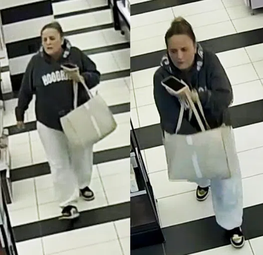 Woman steals $400+ in cosmetics from Milton store