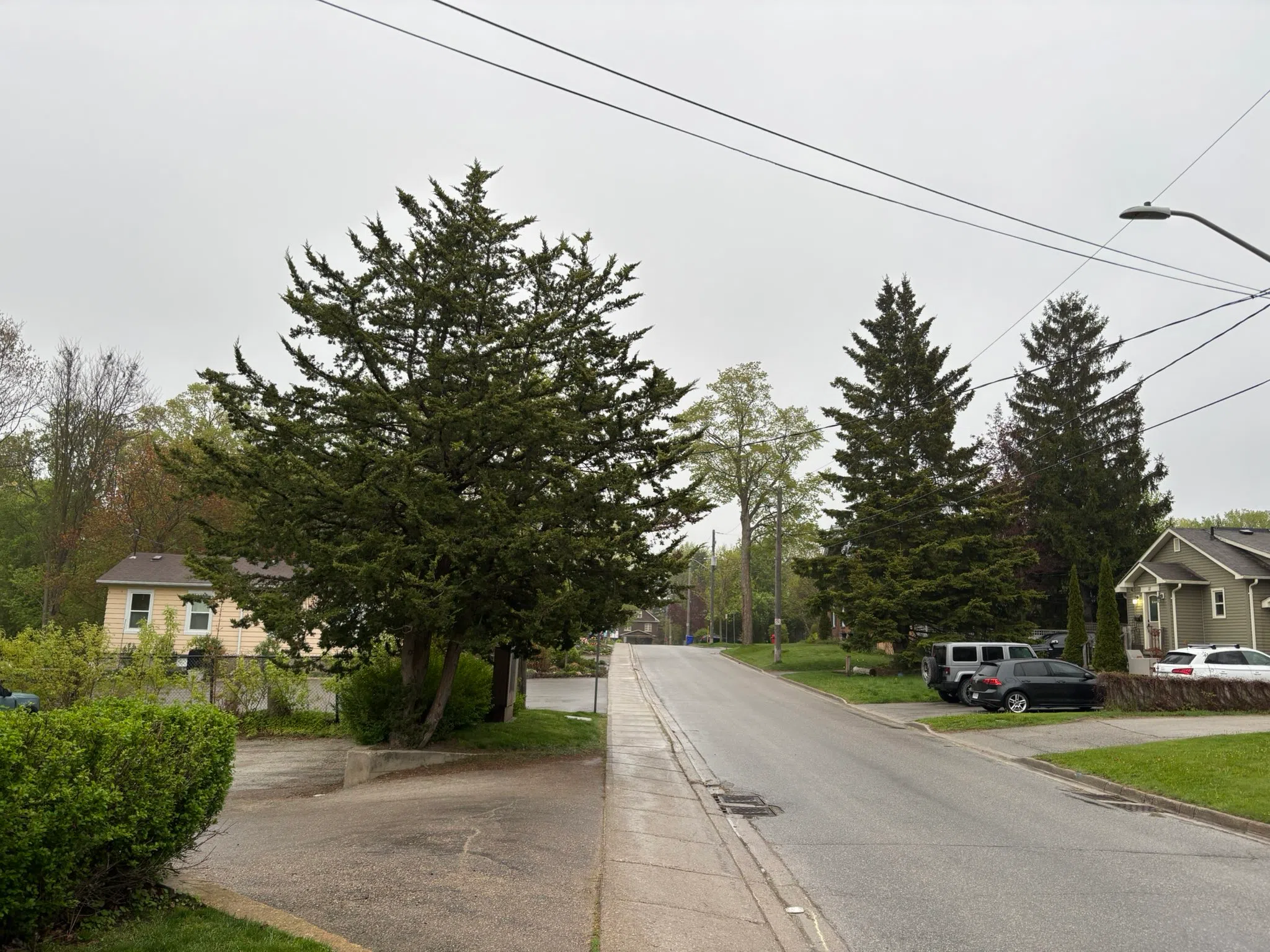 Milton forecast for Wednesday, May 14th