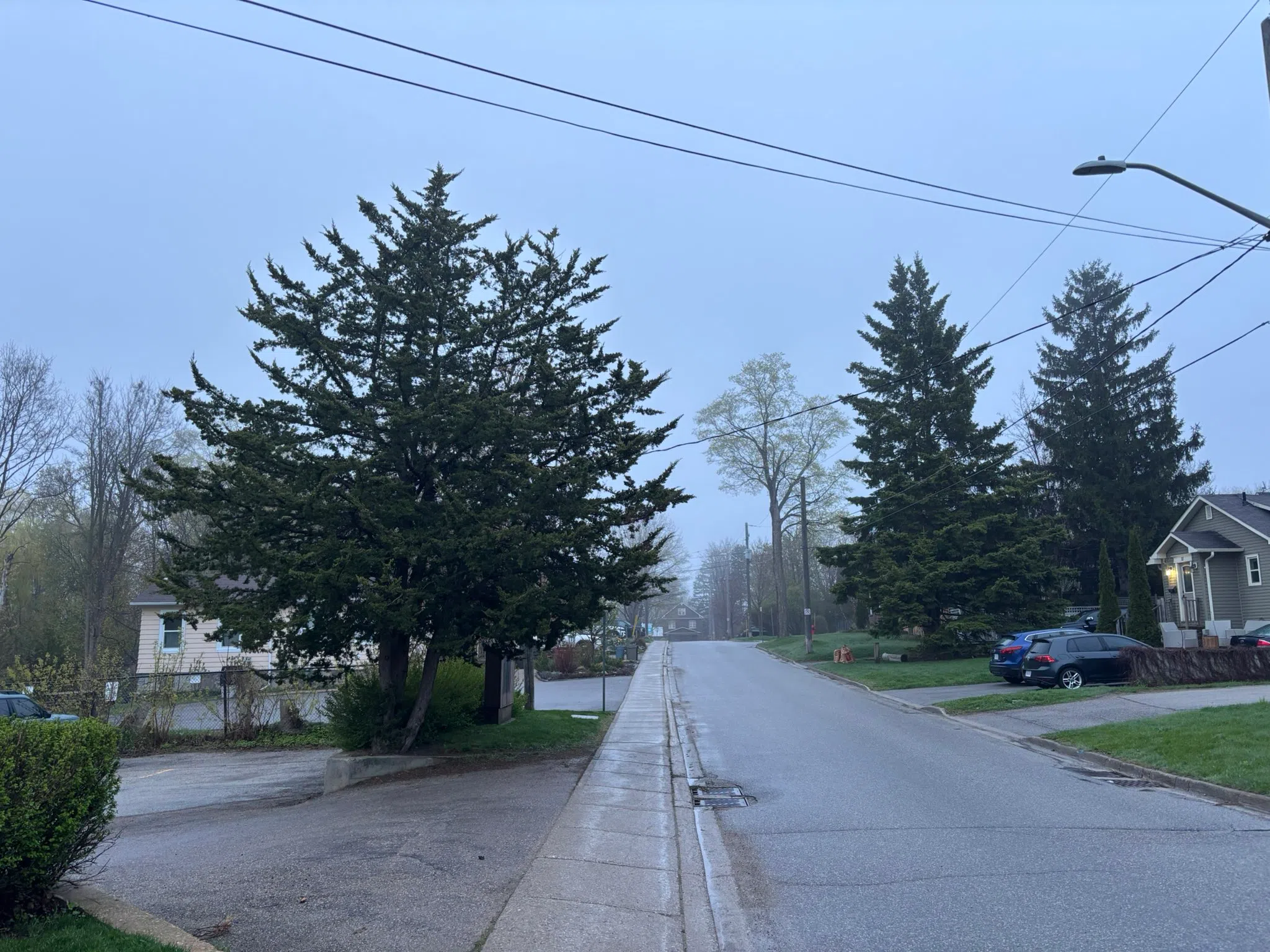 Milton forecast for Tuesday, May 6th